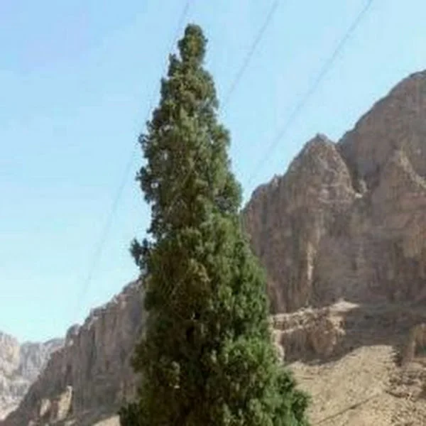 کاربر