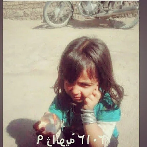 کاربر