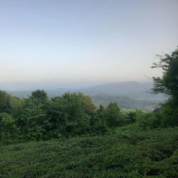کاربر