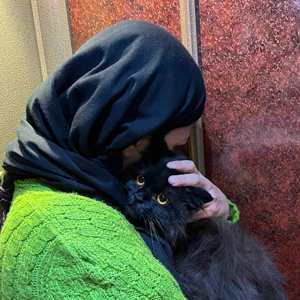 کاربر