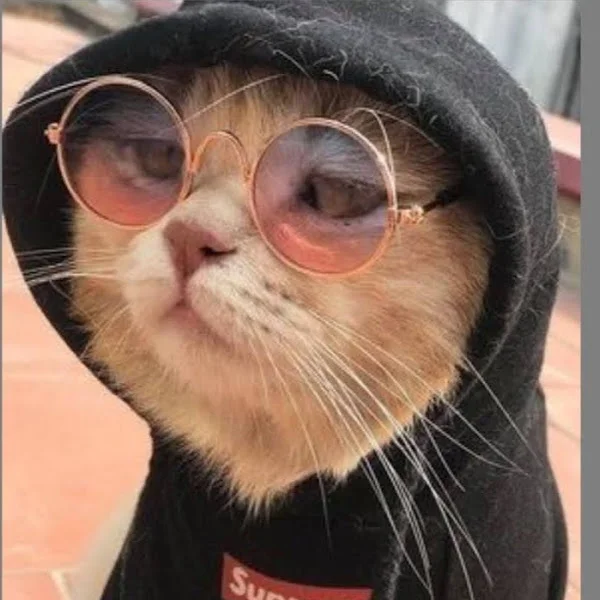 کاربر