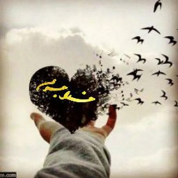 کاربر