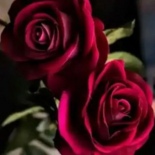 کاربر