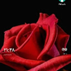 کاربر