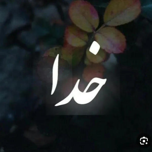 کاربر