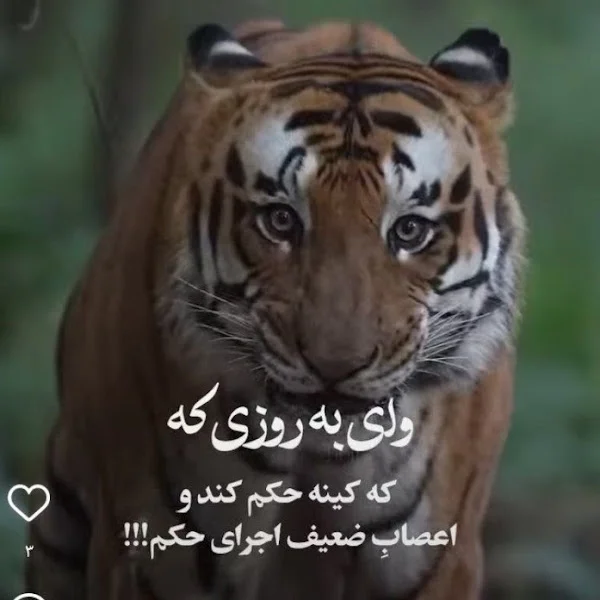 کاربر