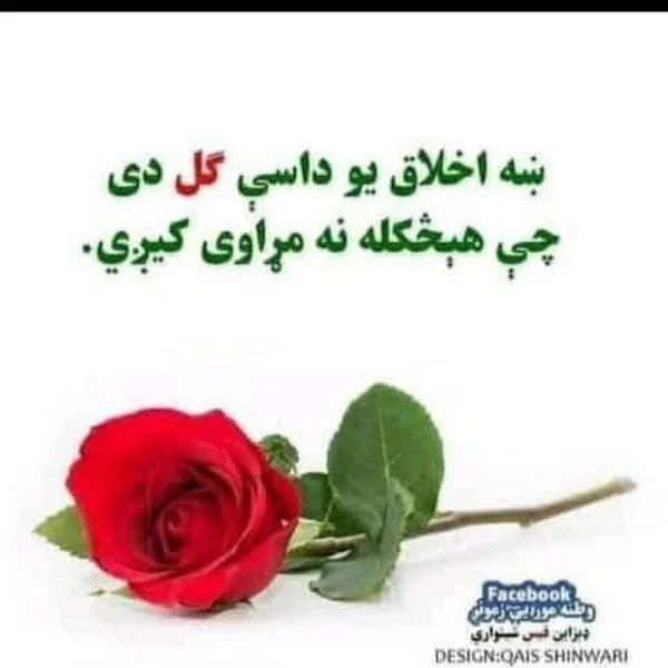 کاربر