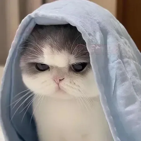 کاربر