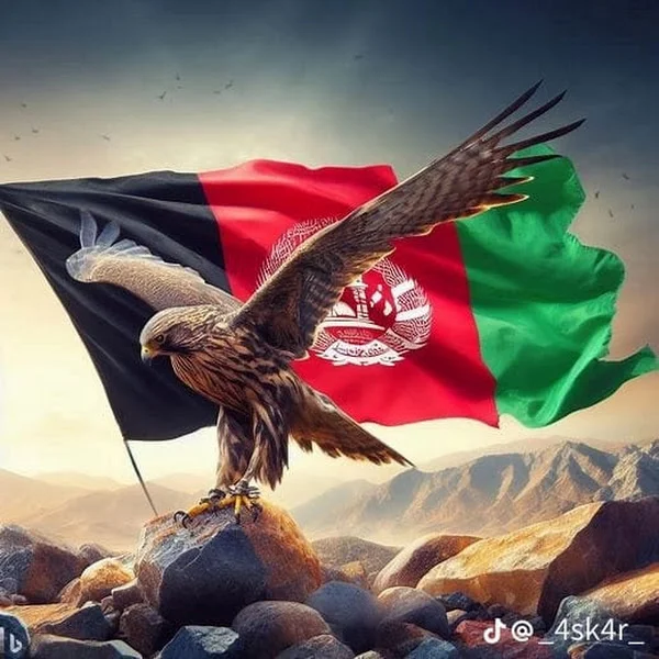 کاربر