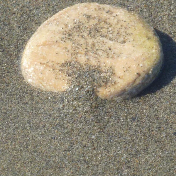 کاربر