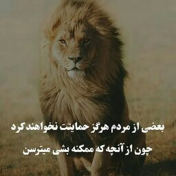 کاربر