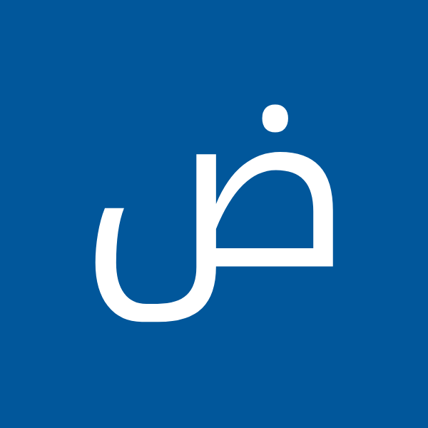 ضیاءالدین قیمی