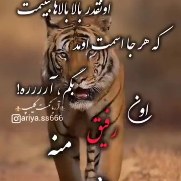 کاربر