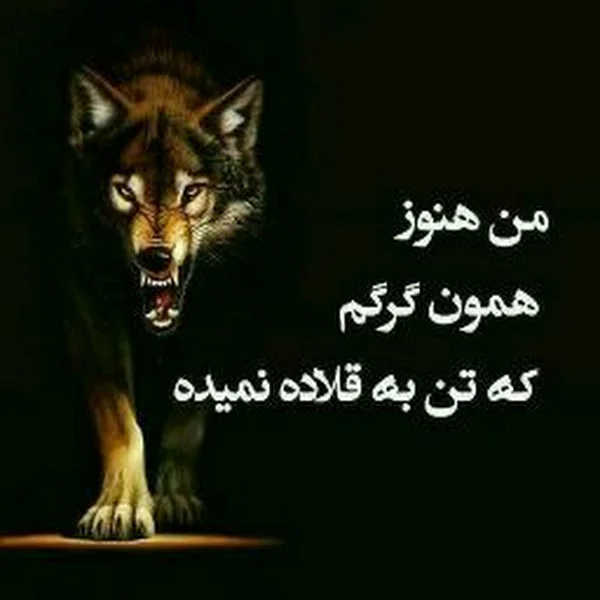 کاربر
