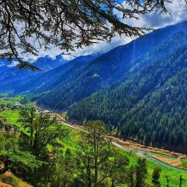 کاربر