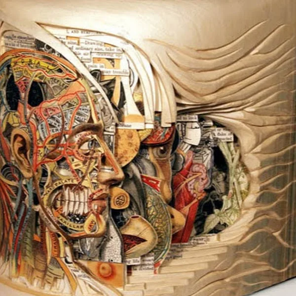 کاربر