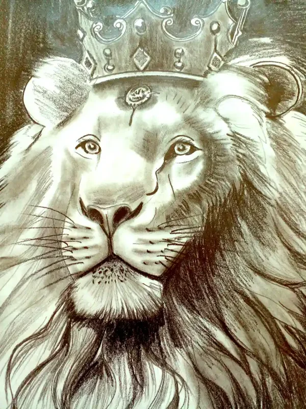 امیر  شکوهی