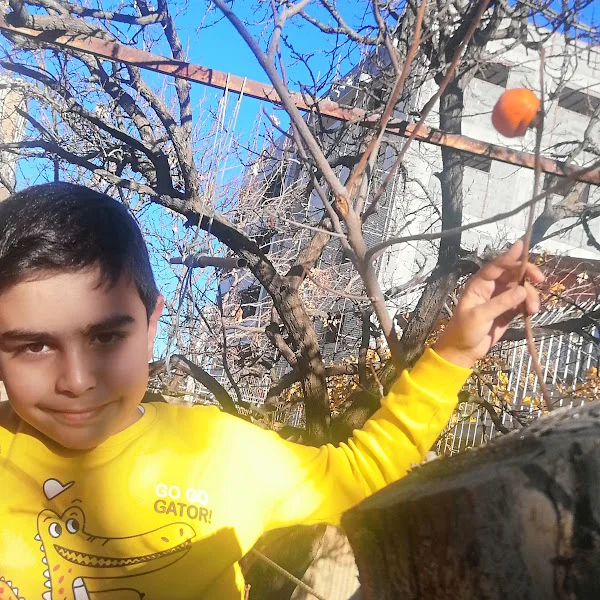 کاربر
