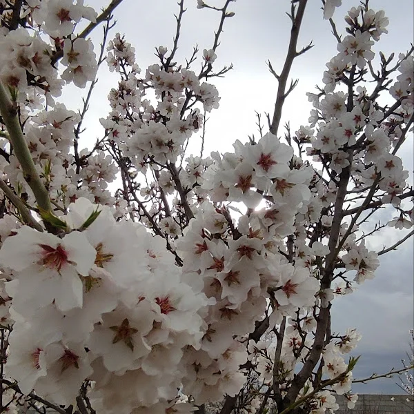 کاربر