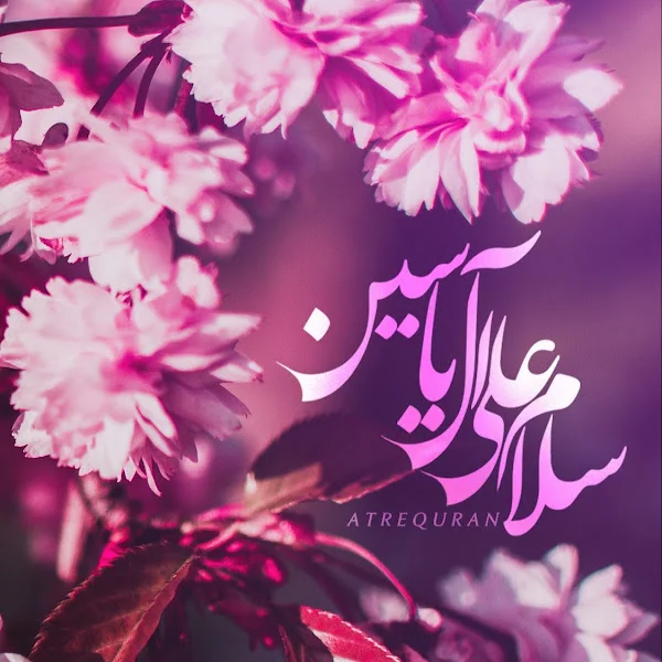 کاربر