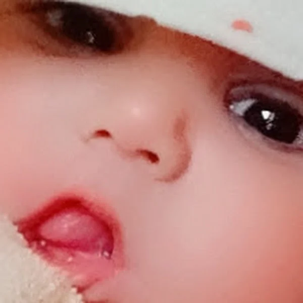 کاربر