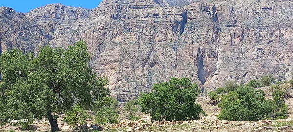 کاربر