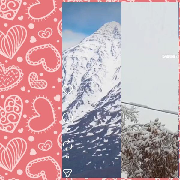 رضا  اصلانی