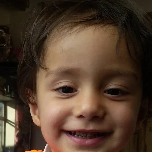 مرتضی علیون