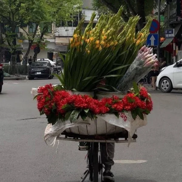 کاربر