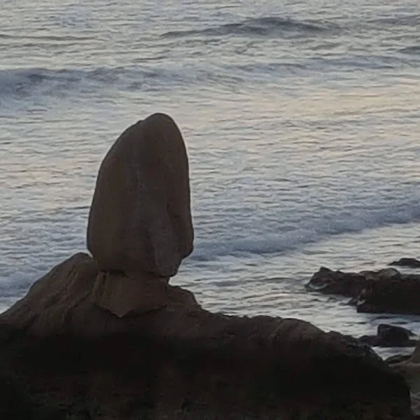 کاربر