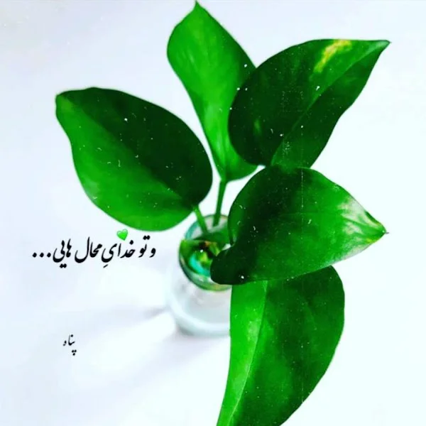 کاربر