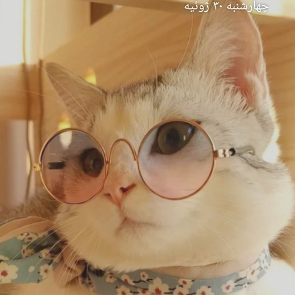 کاربر