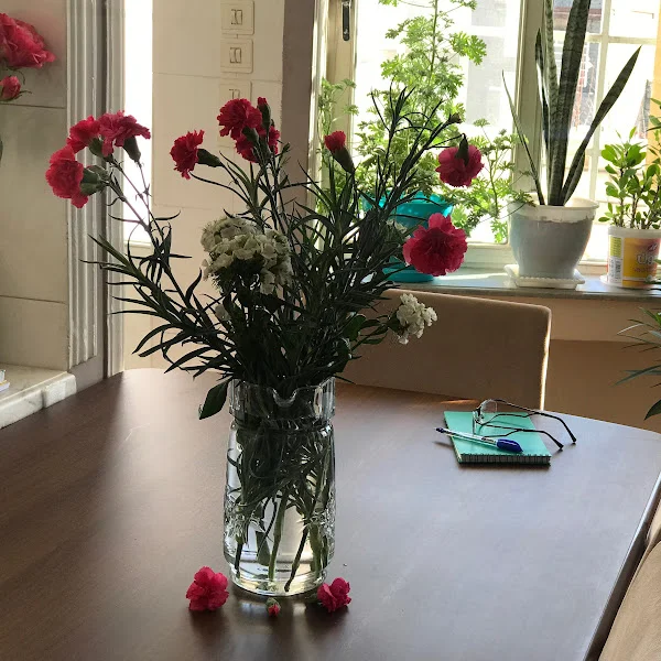 کاربر