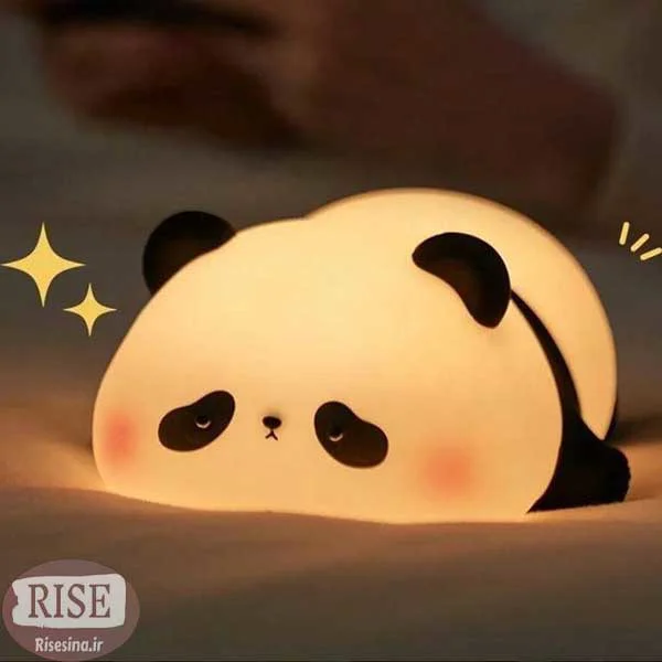 کاربر