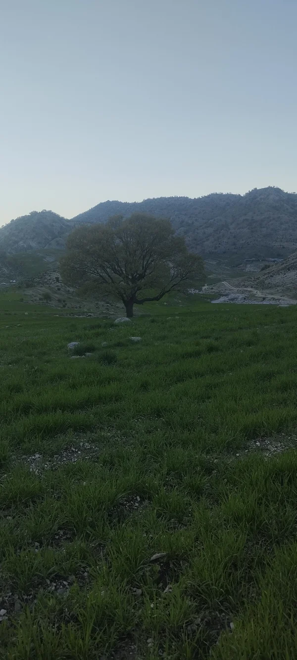 کاربر