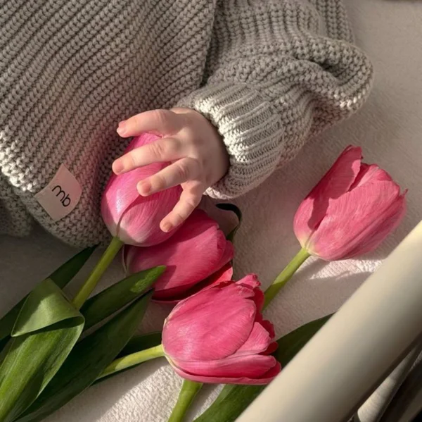 کاربر