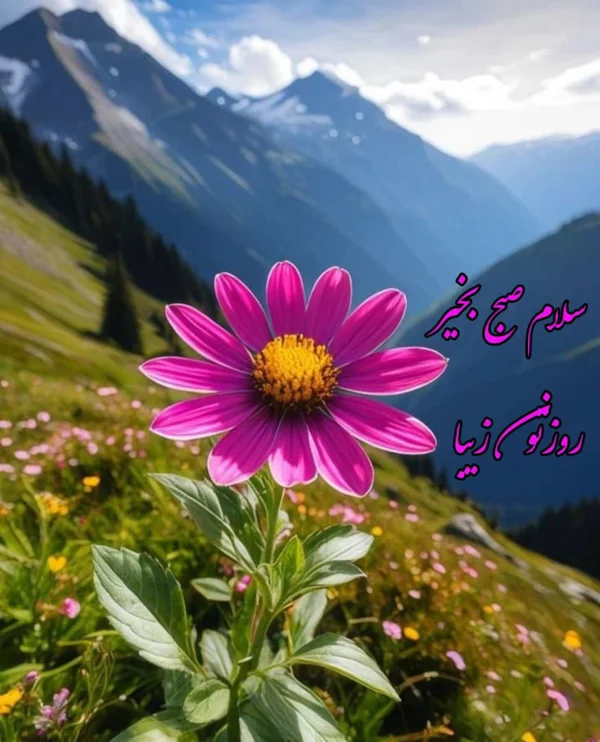 کاربر