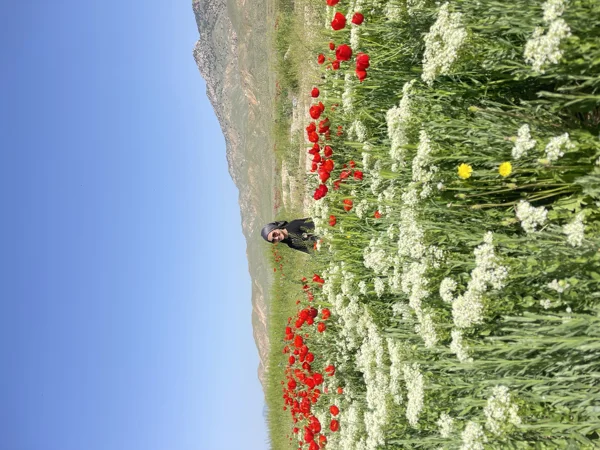 کاربر