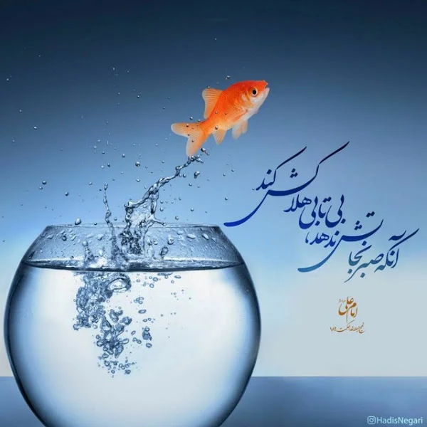 کاربر