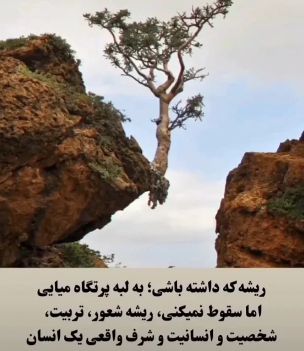 یوسف‌حسنی‌نسب