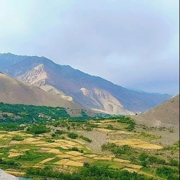 کاربر