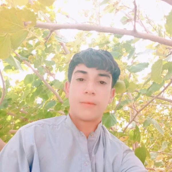 عبدمالک عبدمالک نورزی