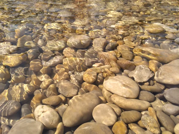 کاربر