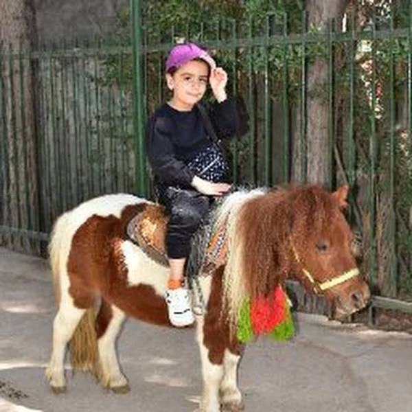 کاربر