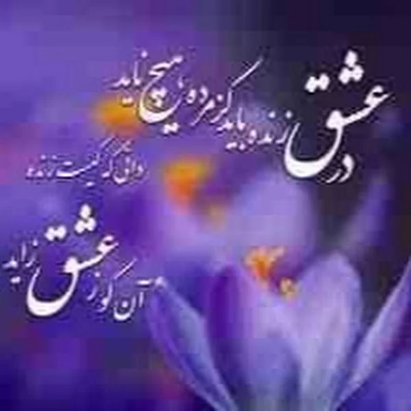 کاربر