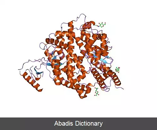 عکس آنزیم ۲ مبدل آنژیوتانسین