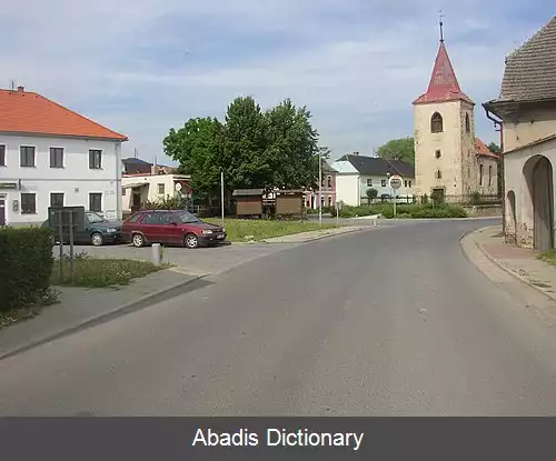 عکس ملکویدی