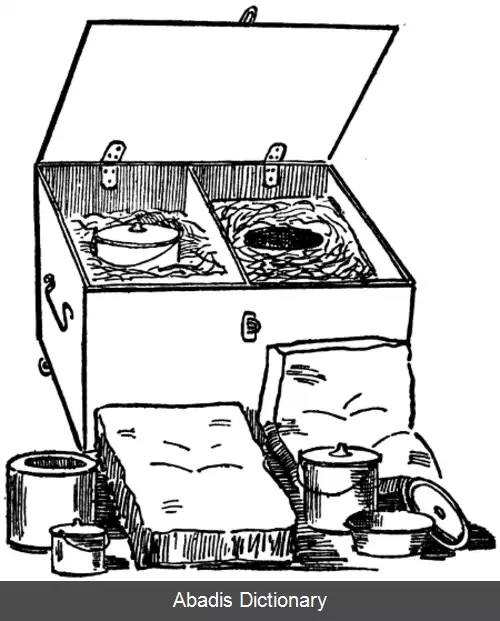 عکس فلورانس پتی