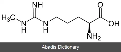 عکس متیل آرژینین