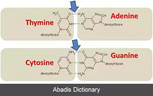 عکس محتوای سیتوزین گوانین